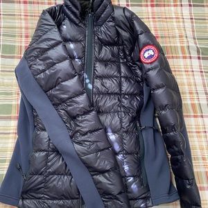 Canada goose bubble